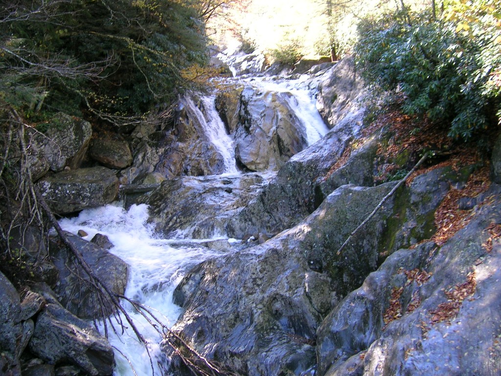 dscn028611